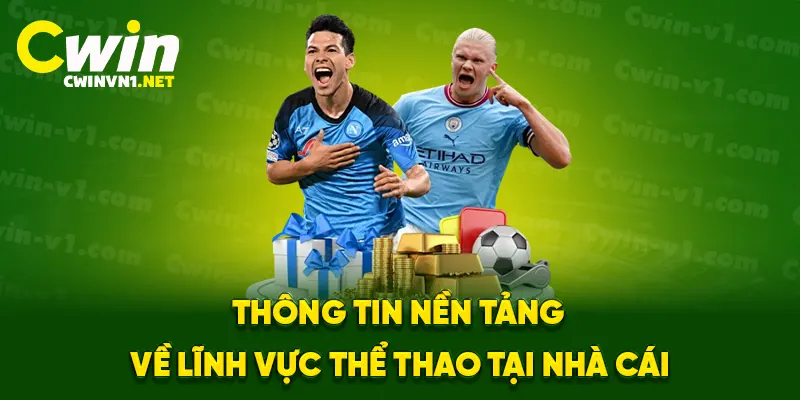 Thông tin nền tảng về lĩnh vực thể thao tại nhà cái