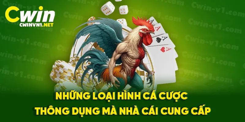 Những loại hình cá cược thông dụng mà nhà cái cung cấp