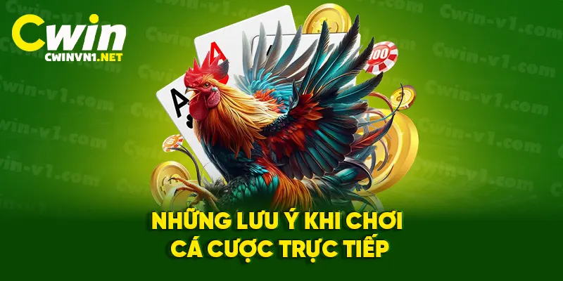 Những lưu ý khi chơi cá cược trực tiếp