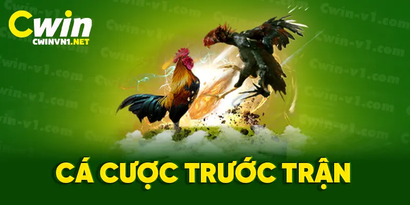 Cá cược trước trận