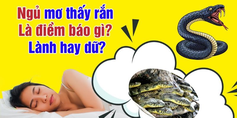 Ý nghĩa tâm lý của việc mơ thấy rắn to